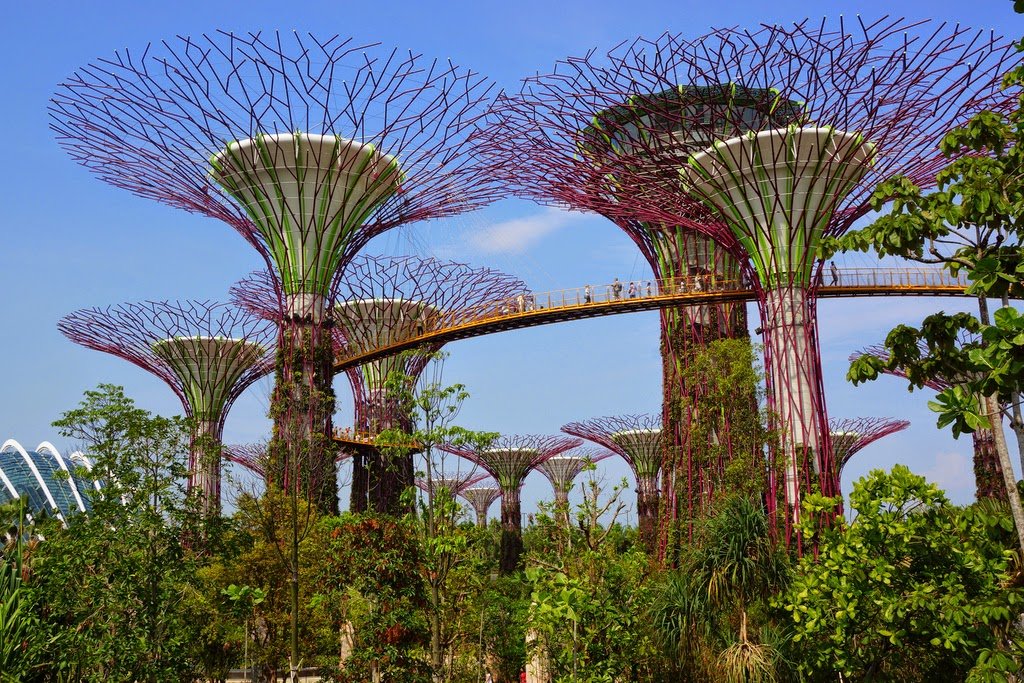 Los Supertrees de Singapur de día. | Bitácoras Viajeras