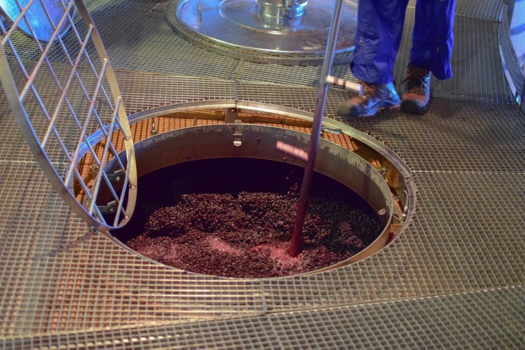 Proceso del Vino en Viña Lapostolle | Bitacorasviajeras.com